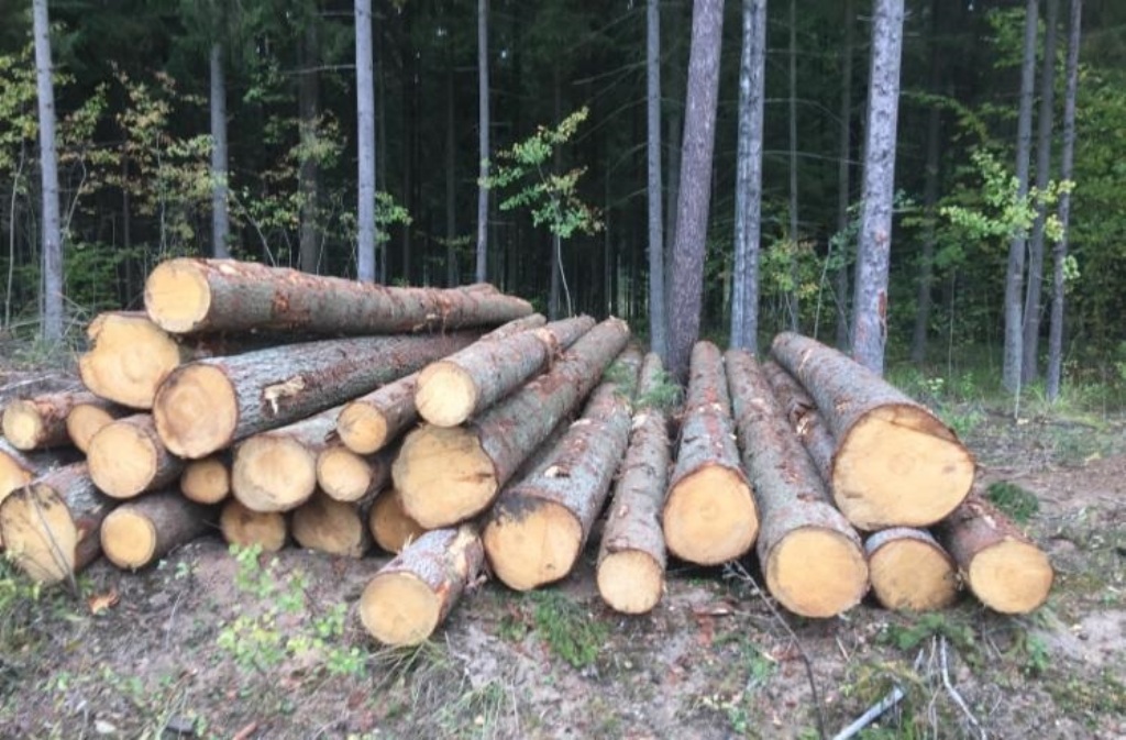 pine-logs
