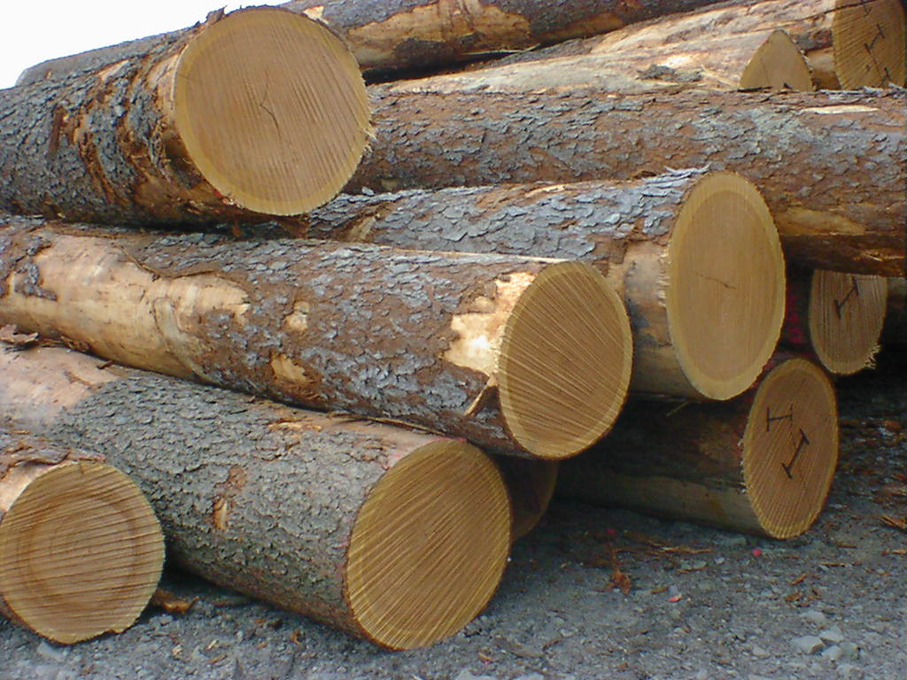 oak-logs